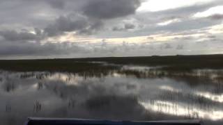 preview picture of video 'Sony HDR-TG1 / HDR-TG3 Everglades Airboat'