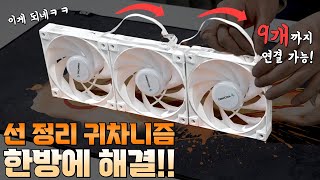 퀘이사존