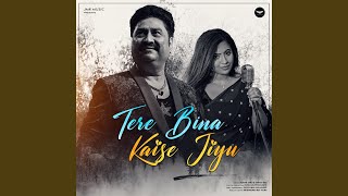 Tere Bina Kaise Jiyu song artwork