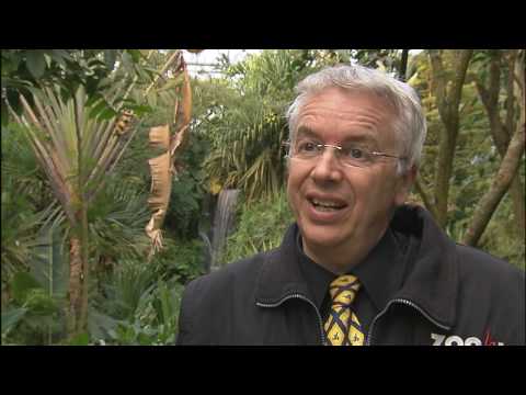 powernewz - Was wir von Tieren lernen können.