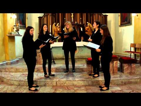 Vokalna skupina Aria - Uvik ću te svojim zvati