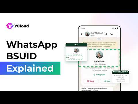 WhatsApp: The Disruptor in Messaging | Vibepedia