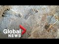 Prehistoric pedestrians: Oldest human footprints in North America found in New Mexico