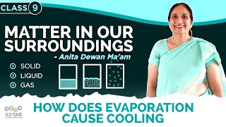 Matter in our surroundings | Chemistry | How does evaporation cause cooling (7/7)