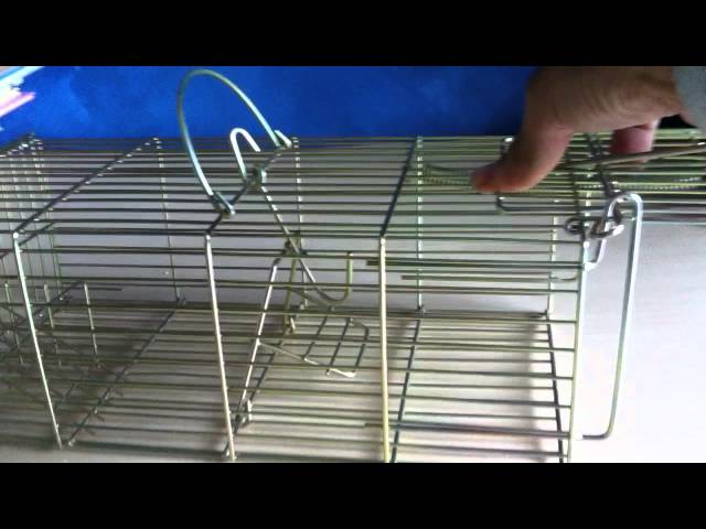 Vídeo relacionado con Petigi Animales Humane Trampa Jaula Captura Ratones Ratas Conejos Topos Martas Castores Tejones, Dimensiones/Modelo:Trampa para pájaros 1 (102 x 30 x 40 cm)