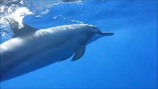 Robert Miles - Textures (The Best Of Robert Miles) HQ Sound