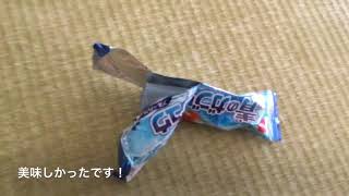 西日本ショートムービー:青のガブリチュウを買ったよ！