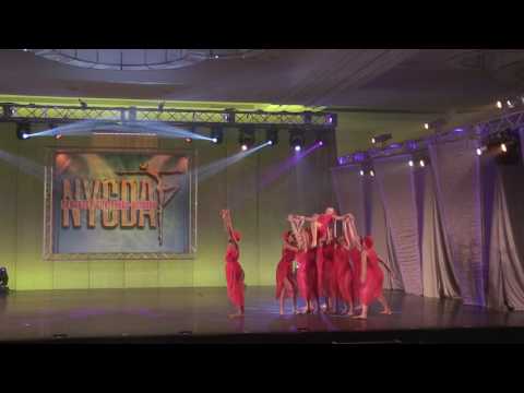 We Are The Ones   Miami Dance Collective