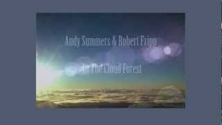Andy Summers & Robert Fripp ~ In The Cloud Forest 1982