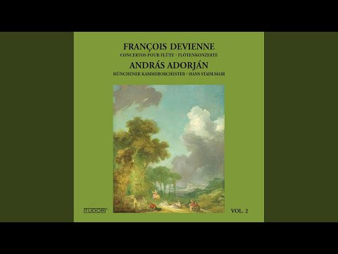 Flute Concerto No. 7 in E Minor: I. Allegro