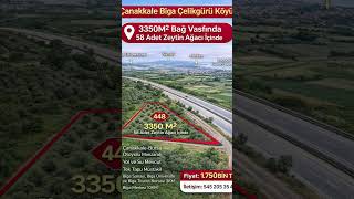 Canakkale Biga Harika Tarla