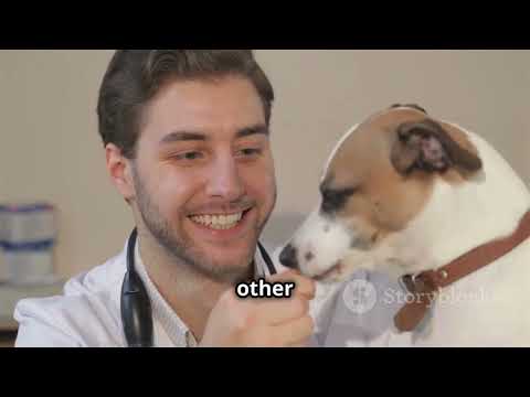 Understanding AAFCO Ratings and Statement: A Pet Owner's Guide