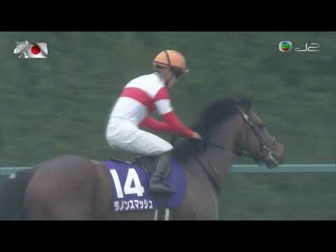 2021 Takamatsunomiya Kinen G1 - Danon Smash (野田重擊) - Y.Kawada