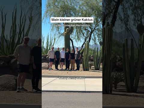 When life gives you cacti… #kingssingers #acapella #comedianharmonists #meinkleinergrünerkaktus