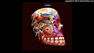 James - Whistleblowers (bonus track, album La Petite Mort)