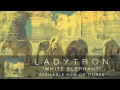 Ladytron - White Elephant [Audio] 