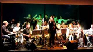 Jazz Punt Big Band & Tanja Srednik - I Will Survive