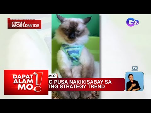 Pusa, nakisabay sa marketing strategy trend Dapat Alam Mo!