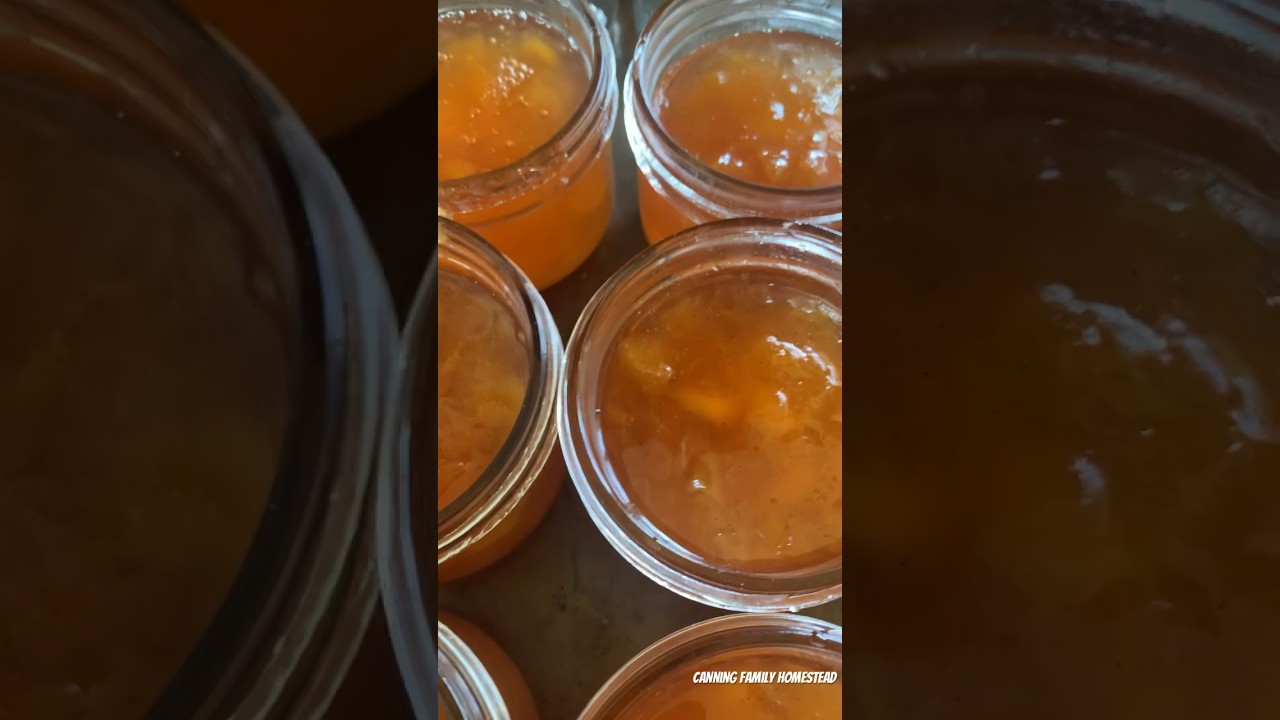 Fresh Niagara peach jam with cinnamon and vanilla bean