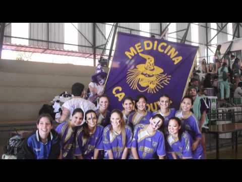 Apresentacao FAMECA Bixos 2012 Pre-intermed.mov