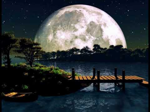 Bessie / Michal Tučný.