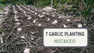 7 COMMON Garlic Planting MISTAKES! Ope!