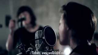 Wallis Bird - Tour- & Album Trailer