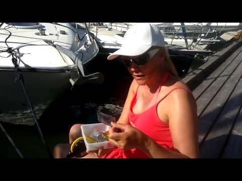 Onkimisen alkeet by Marjukka Karttunen