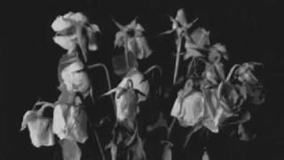 Depeche Mode - The Darkest Star (edit)