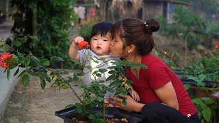 Picking up stream snails to sell, planting sugarcane, and stir-frying snails