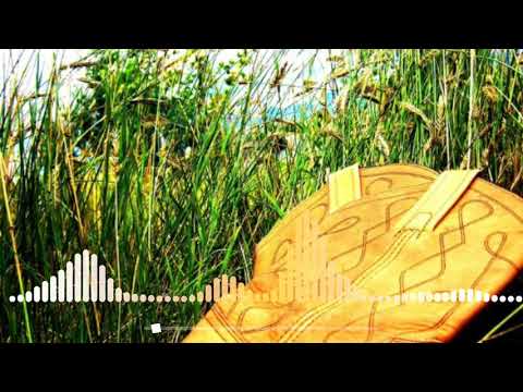 alemão do forró _ vai bebendo vai mechendo vai