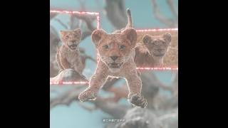 Mufasa Is Legend👑 - The Lion King Edit | Sayfalse - AL NACER #shorts #edit #lionking #movie #foryou 