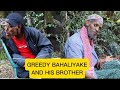 Bahaliyake New Diraama Afaan Oromo Greedy Bahaliyake 6 4 2025