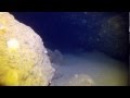 Billinghurst Cave Diving in Gozo 2013