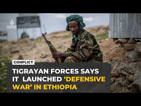 Tigray forces launch offensive against Ethiopian government