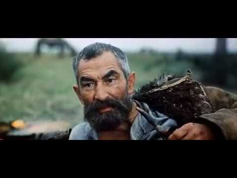 Самая мудрая мудрость