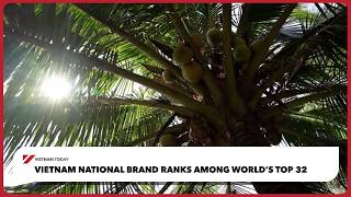 Vietnam national brand ranks among world’s top 32 | Vietnam Today