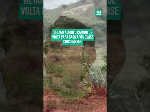 Cavalo vendido foge e caminha 20 km para retornar ao antigo dono em Maranguape