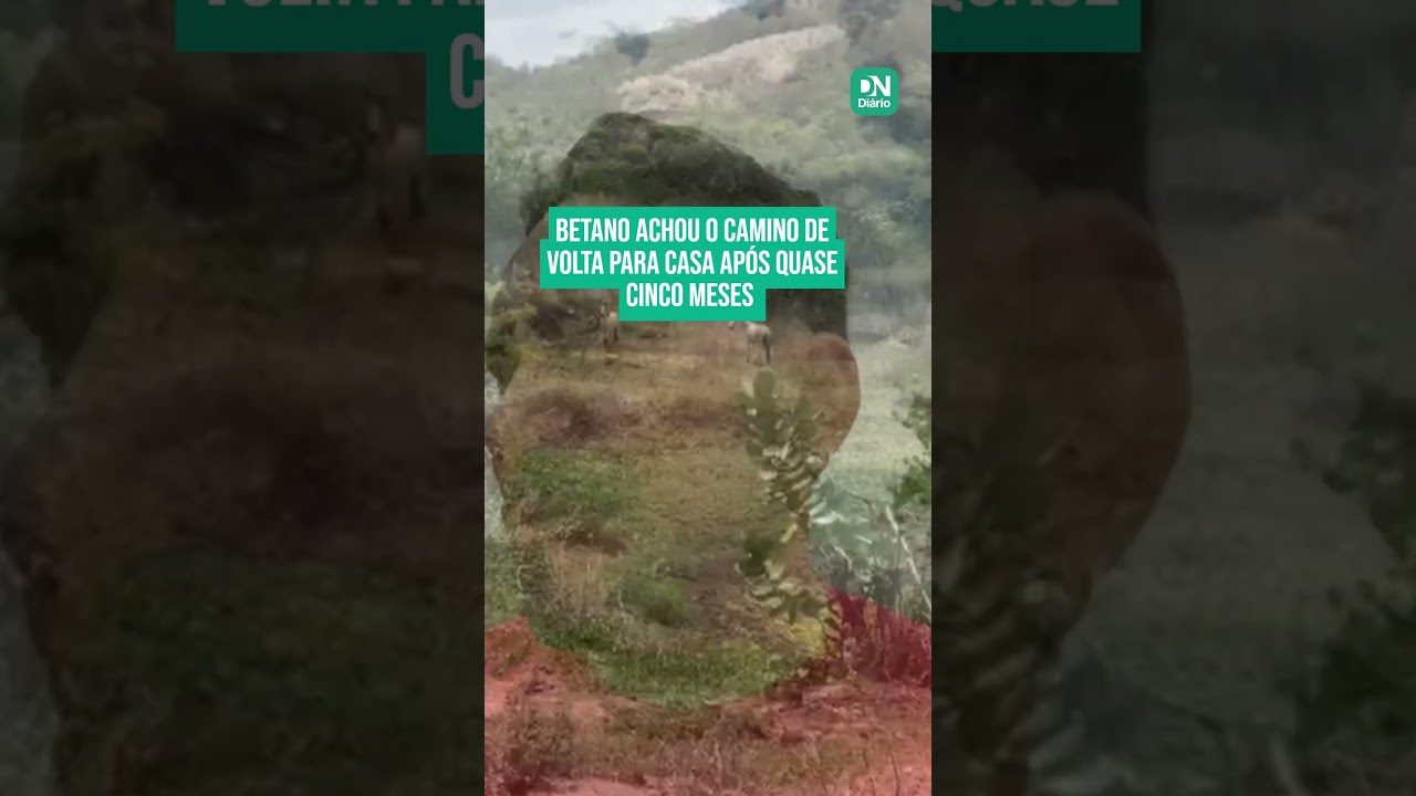 Imagem da notícia Cavalo vendido foge e caminha 20 km para retornar ao antigo dono em Maranguape