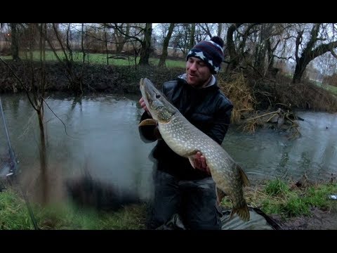 Floodwater River Pike!