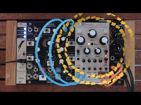 Mutable Instruments Beads image 7