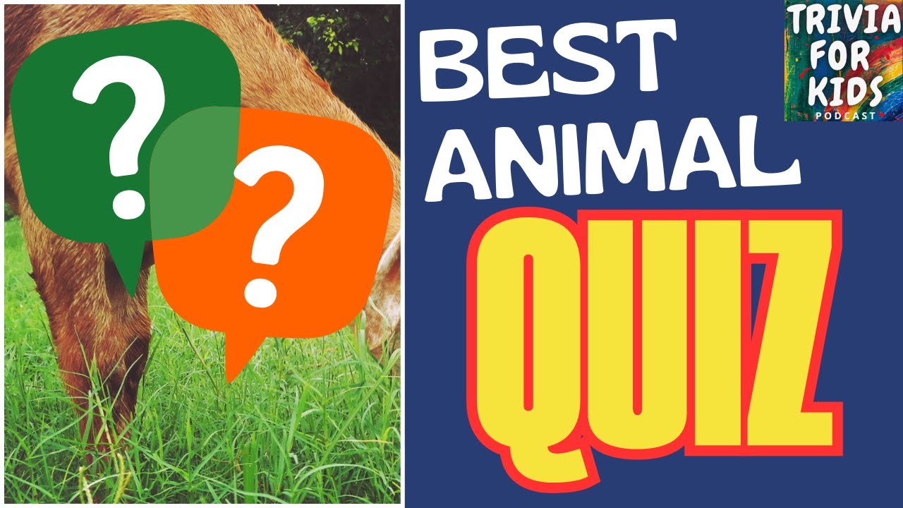 Interactive Animal Quiz for Kids 🦒 | Fun Animal Trivia Game Show! Learn & Play | Classroom Fun