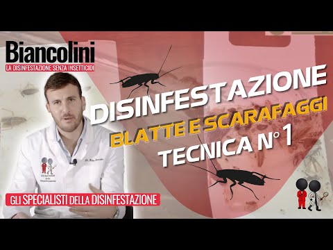 La chilocaloria su uova un verme dove consegnare Rostov su Don Trattamento di lyambliya in un fegato a bambini