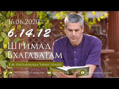 Е.М. Нитьянанда Чаран прабху. Лекция по Шримад-Бхагаватам 6.14.1 2 от 16.06.2020
