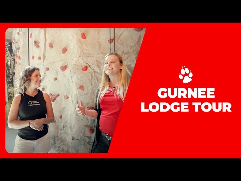 Great Wolf Lodge Gurnee Lodge Tour by @NootePartnersRealtors and Brie