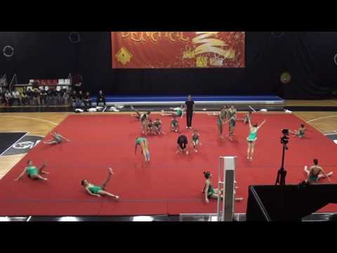 Sarau de Natal CDESMT - 17/12/2016 - Suricatas