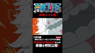 アニメ「#ONEPIECE」見放題配信への追加は木曜日‼️1163話‼️ #onepiece #原撮
