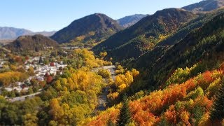 The Colours of Autumn in New Zealand