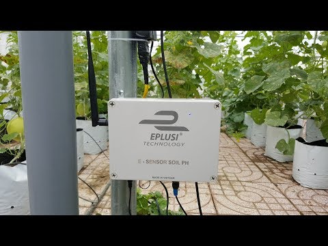 E-Sensor IoT