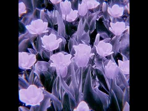 cricket, muma & dafina zeqiri - pa ty [sped up]